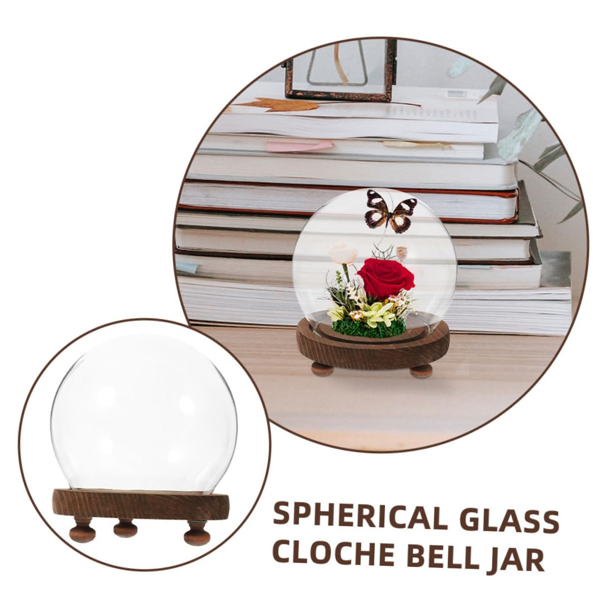Cabilock Elegante Vaso A Campana in Con Cupola Espositore Floreale Copertura Per Piante Sfere Di Neve Terrario in Con Coperchio Decorazione Per La Casa