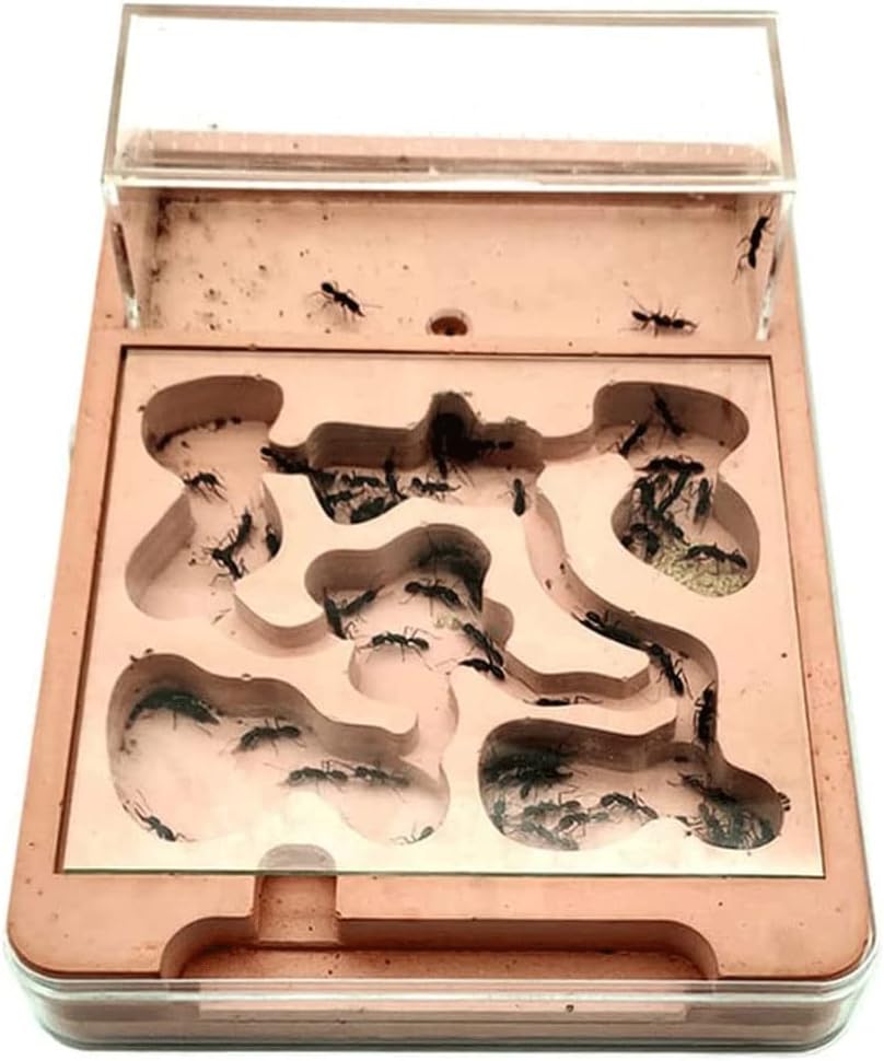 HRTC Plaster Plane Ant Castle with Hunting Area Plaster Anthill Workshop Ant Farm Moisturizer Ant Nest Farm for Kids