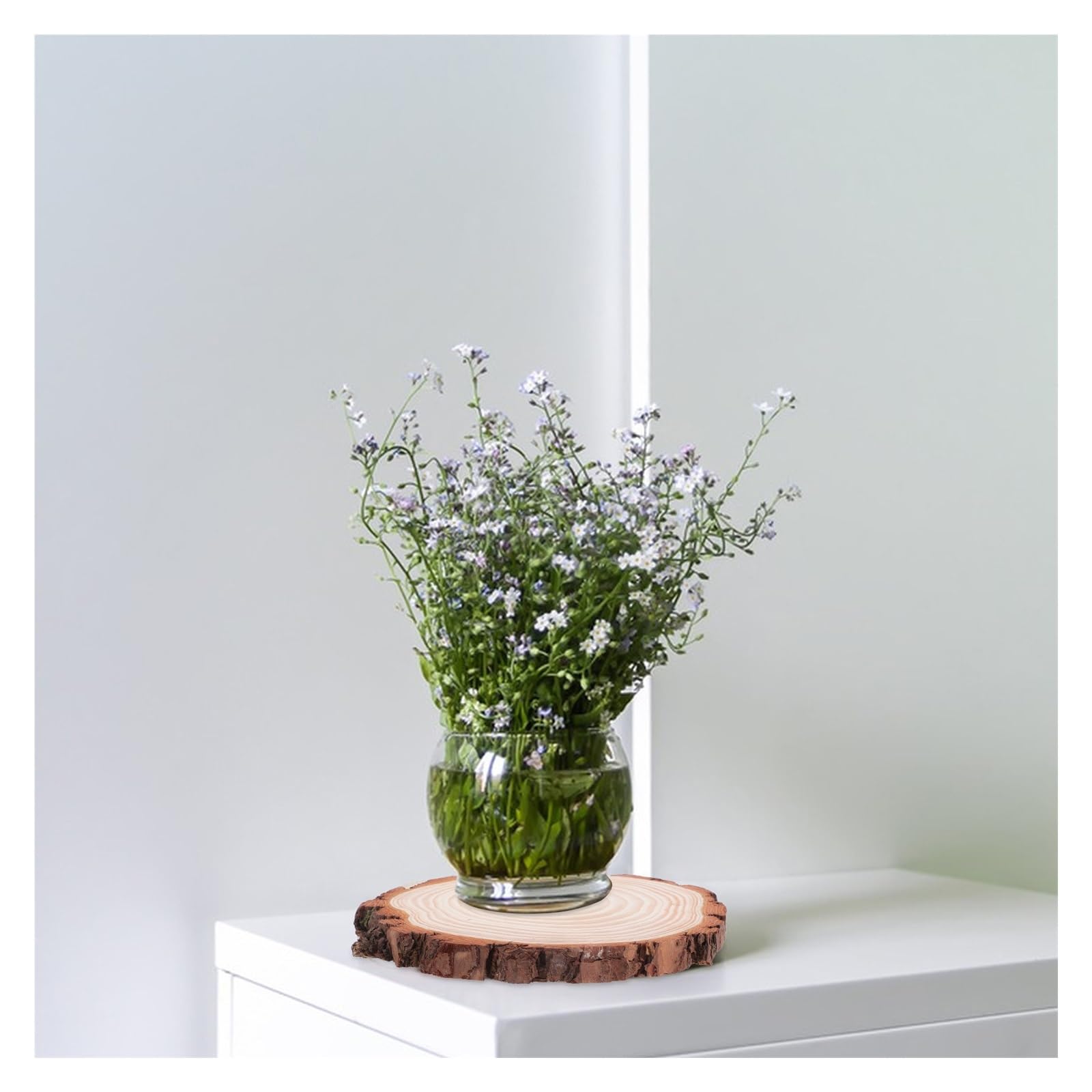 Discos de madera redondos sin acabar 2 rodajas de corteza madera rústica sin tratar, discos redondos 18-20 cm for manualidades, decoración DIY, centros mesa for bodas