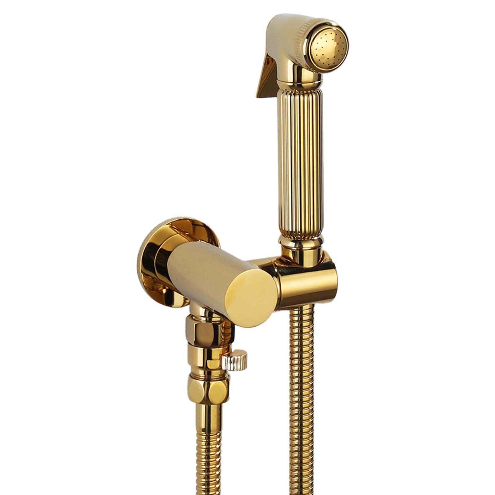Ensemble de pulvérisateur de bidet de toilette laiton doré
