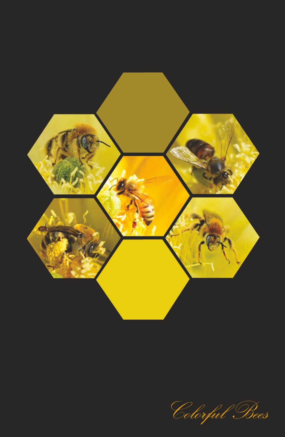 Journal abeilles colorées pour noter vos pensées lors de vos randonnées nature