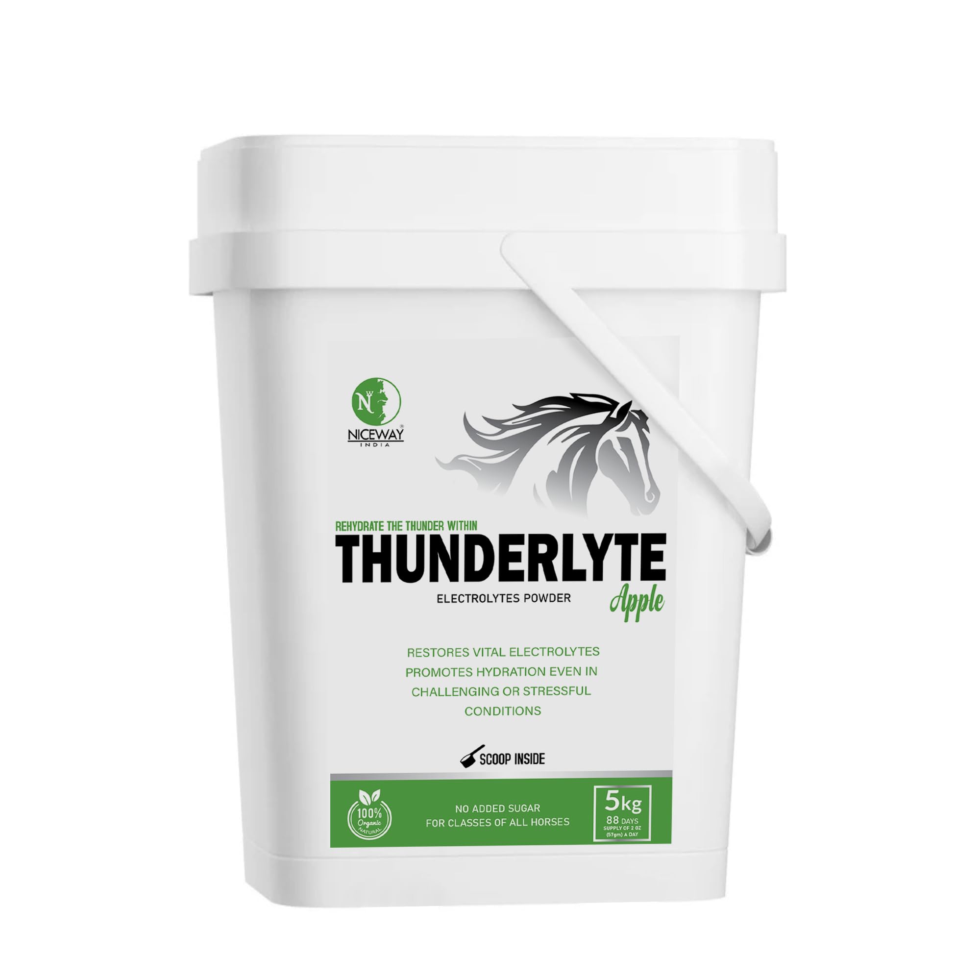 NICEWAY INDIA® Thunderlyte Apple Electrolytes Powder for Horse (1 KG)