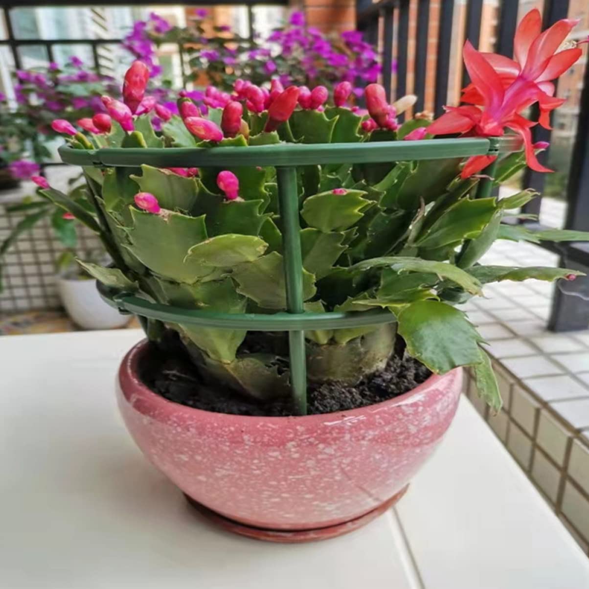 Toyvian 2 Ensembles Support De Plantes Tuteurs Orchidées Supports De Jardin pour Plantes Grimpantes pour Intérieur Et Extérieur 15 Pièces * 2
