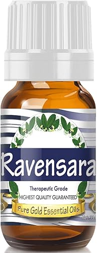 Miniatura 8 de Pure Gold Essential Oils - Aceite esencial de clavo - 0.33 onzas líquidas