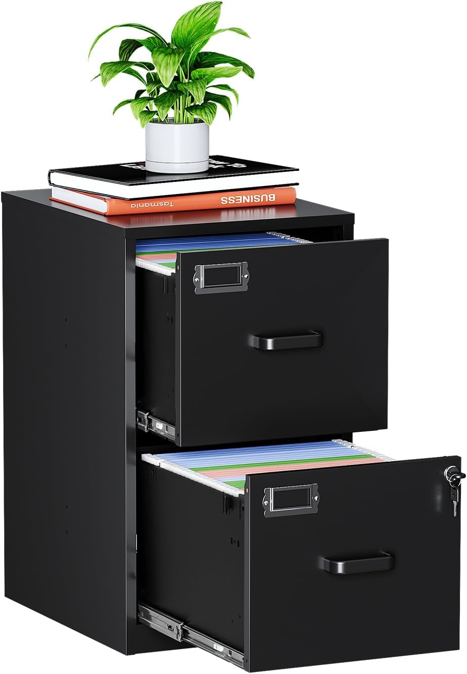 MIIIKO 2-Drawer Metal Filing Cabinet with Lock