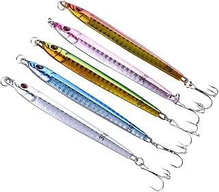 5pcs Saltwater Lures Saltwater Fishing Lures Saltwater Baits Floating Hard Lures Saltwater Fishing Gear Fishing Accessaries Fishing Supplies Fishing Tools Hard Bait Iron Plate Set BESPORTBLE