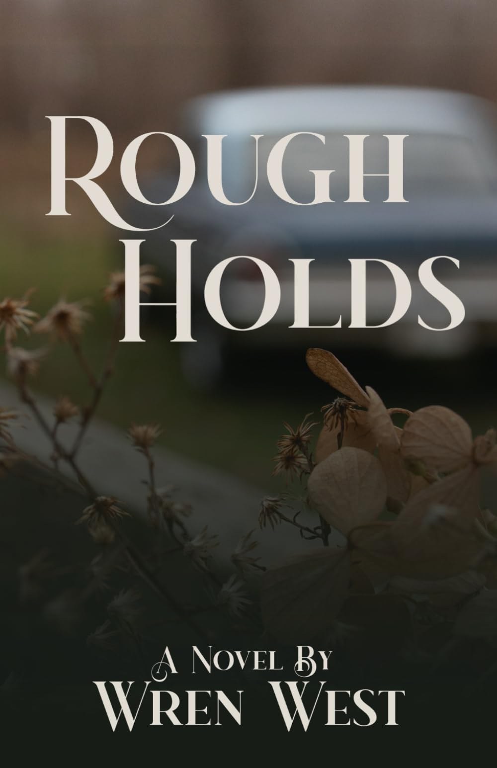Rough Holds (Stone Valley Series)