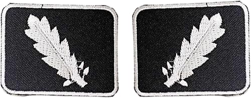 Standartenfuhrer - Juego de 2 pestañas para cuello de coronel, color blanco sobre negro, con borde, para planchar y coser, etiqueta de nombre,