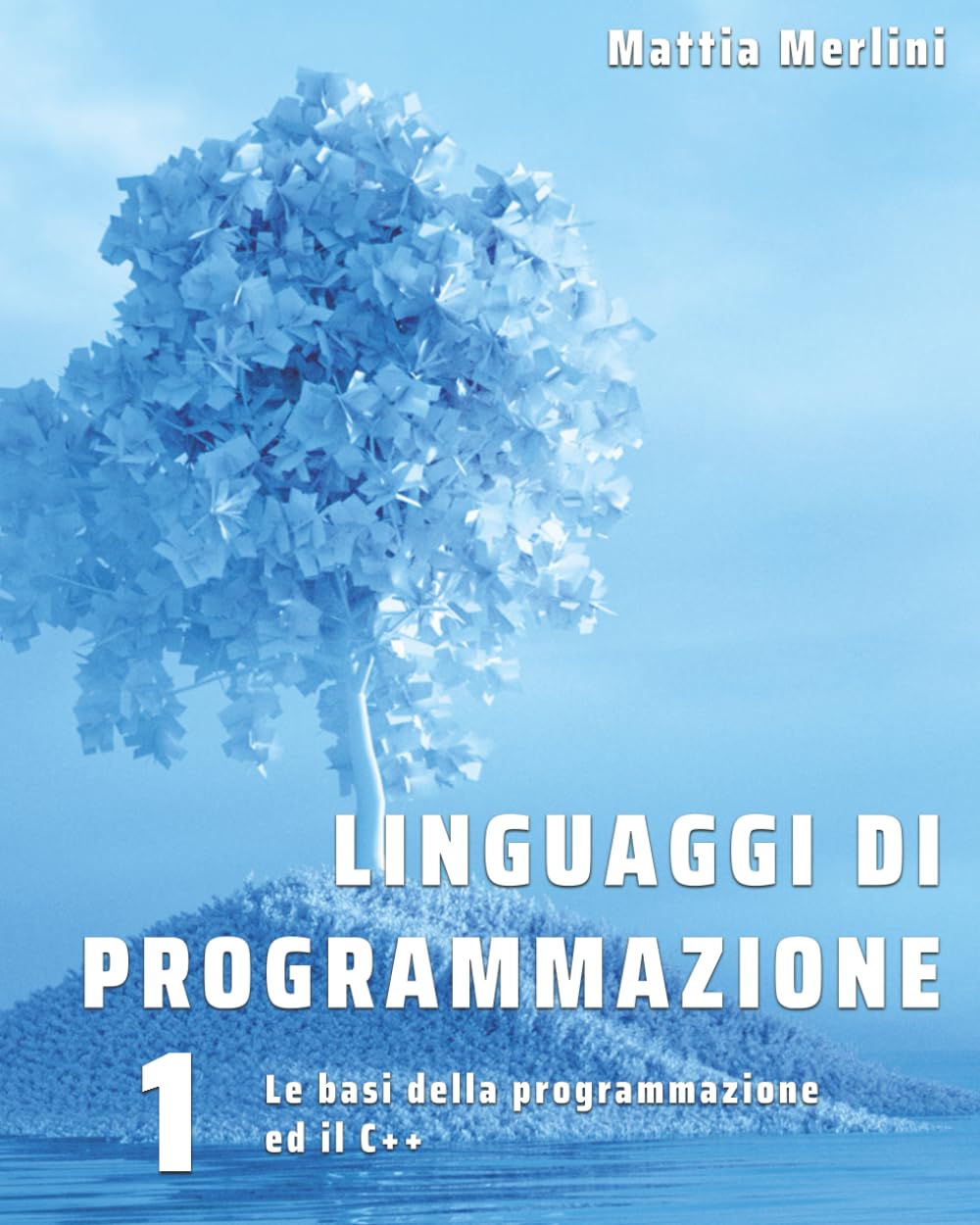 Linguaggi di programmazione - Le basi della programmazione ed il C++: Libro per classi prime IeFP Operatore Informatico