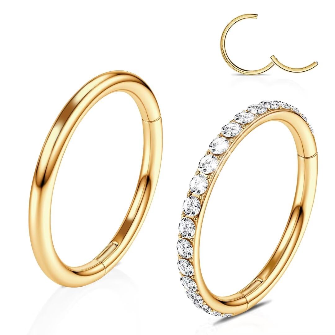 20G 18G 16G 14G Hinged Nose Rings Hoops: 2 Pcs Surgical Steel Seamless Twisted CZ Nose Rings Clicker for Septum Lip Piercing Cartilage Helix Tragus