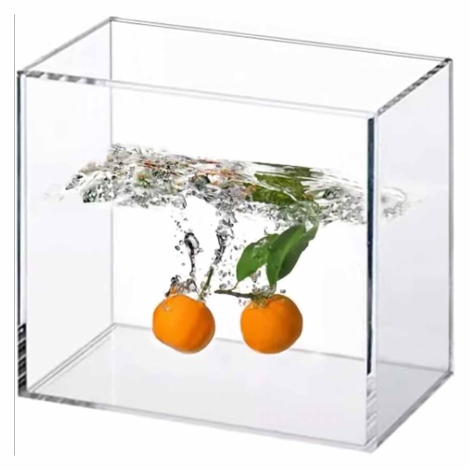 Amazon | アクリル深層水槽 高精細透明 水中写真撮影専用 高さ15cm