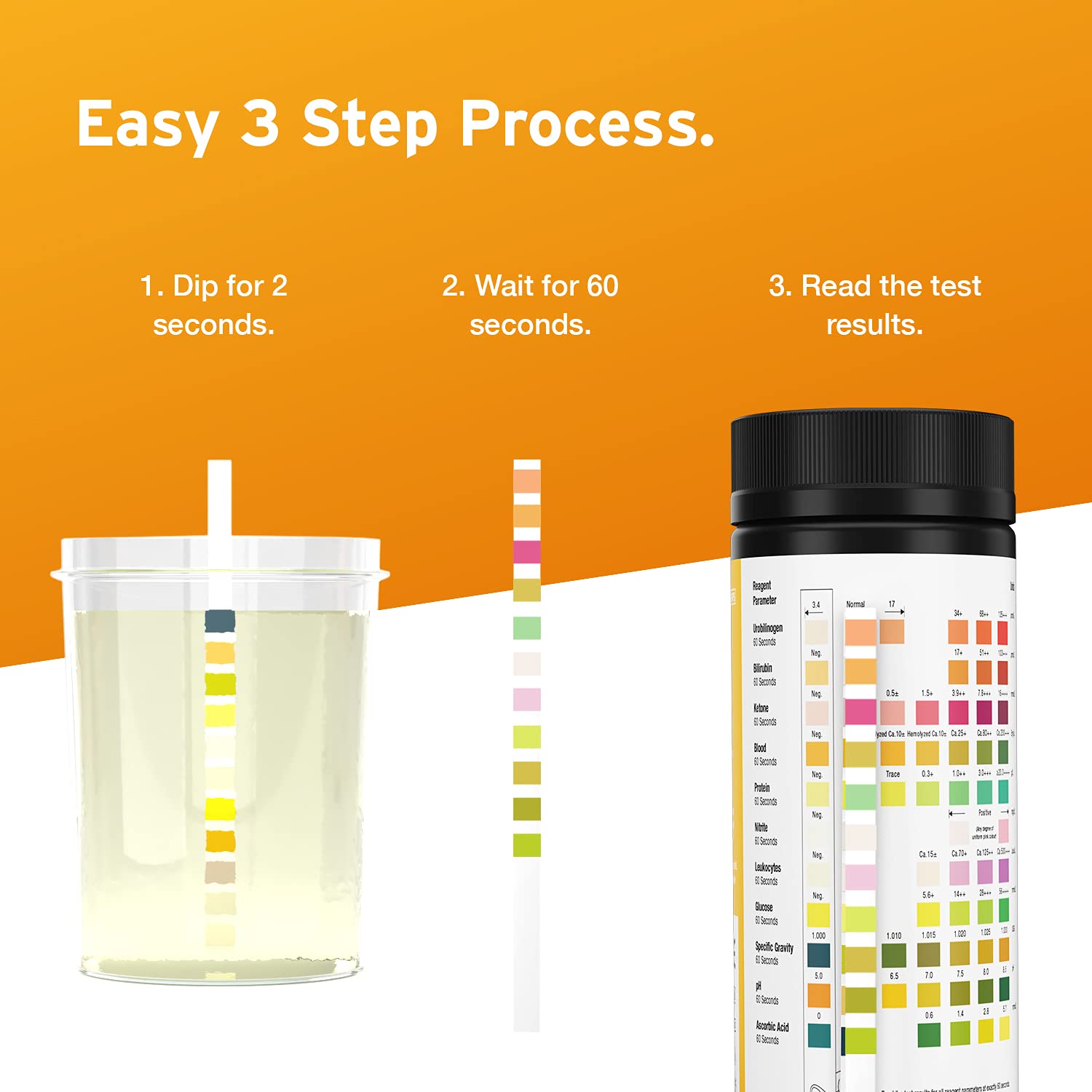 Decoding Your Pregnancy Test: Urobilinogen Explained - sm7k785