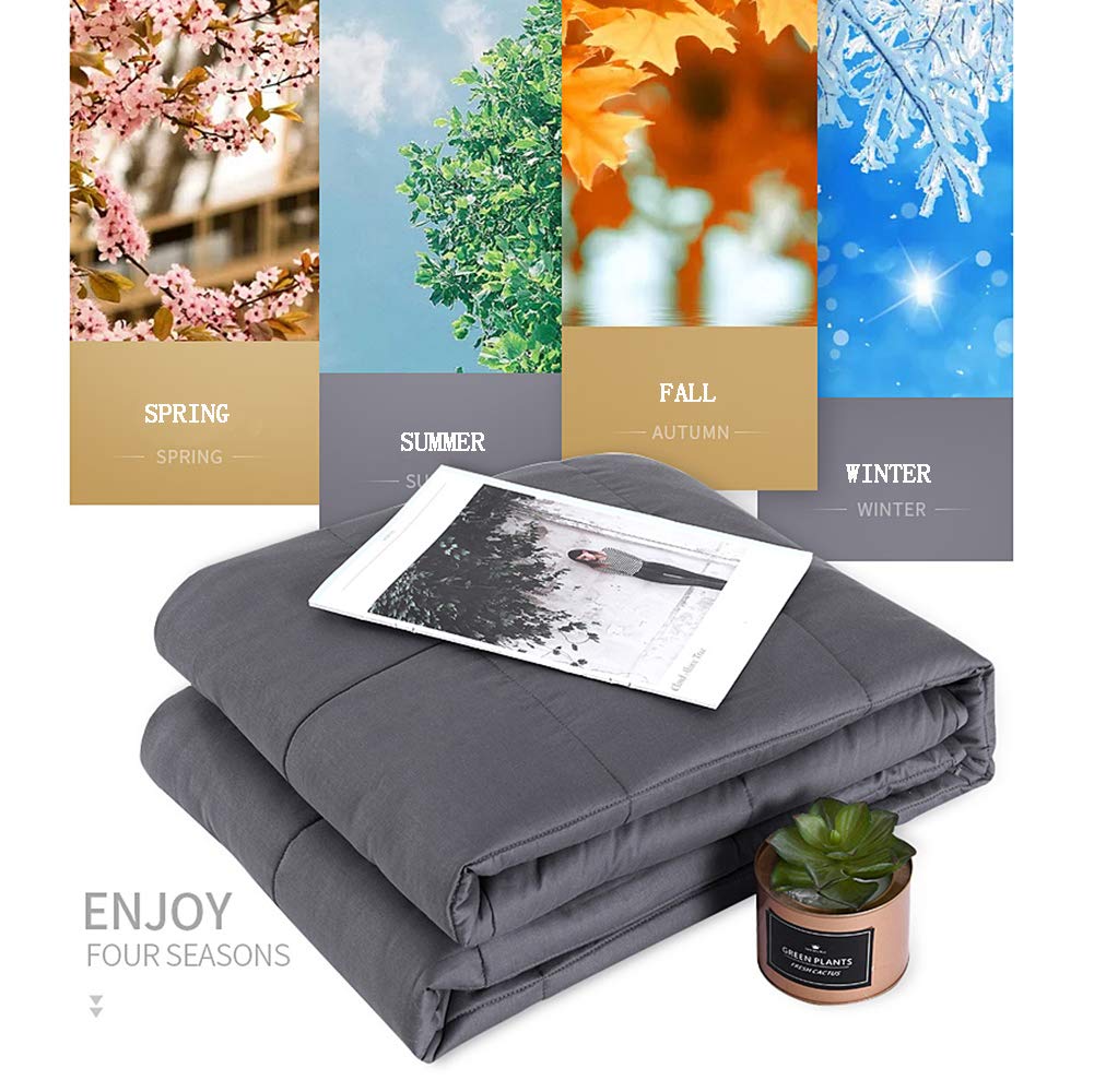 AIZYR Coperta Ponderata per Adulti, Coperta di gravità Cover Rimovibile -Materiale di Cotone Premium con Perle di Vetro, Disponibile in Tutte Le Stagioni,120x183cm(about6.8kg)