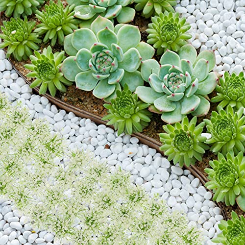 BESTonZON Modellbau Streugras Landschaftsbau Material Weiß Grasbüschel Modell 28 Stücke Miniatur Blumen Pflanzen DIY… – Bild 4