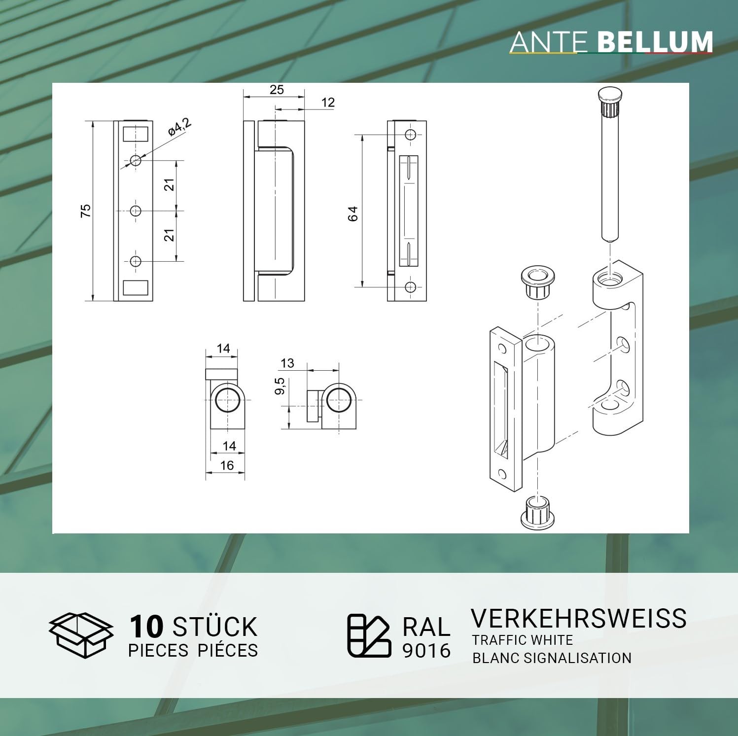 Set di 10 cerniere per porta e finestra, in fibra di vetro, per porte e finestre, per finestre, per zanzariera e porta (10 cerniere, bianco)