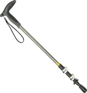 LEKI Wanderfreund Speedlock Trekking Pole