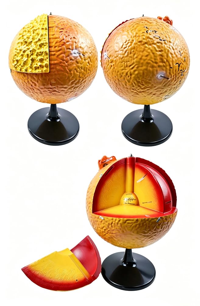 Modèle De Structure Solaire Modèle D'intérieur Solaire Découpé 3D Outil Pédagogique Pour L'enseignement De La Géographie Et De L'astronomie En Classe Ou À La Maison