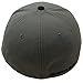 Oakley Men's Silicon O-Cap Baseball Cap