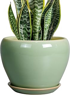 8 Inch Plant Pot - Ceramic Planter for Outdoor Plants Indoor Plant Pot with Drainage Hole and Saucer Mid-Century Round Planter Flower Pot for House Garden Green