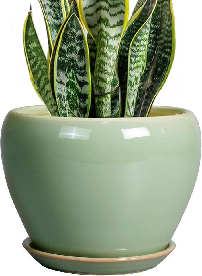 Ceramicfor 8 Inch Plant Pot - Ceramic Planter for Outdoor Plants Indoor Plant Pot with Drainage Hole and Saucer Mid-Century Round Planter Flower Pot for House Garden Green