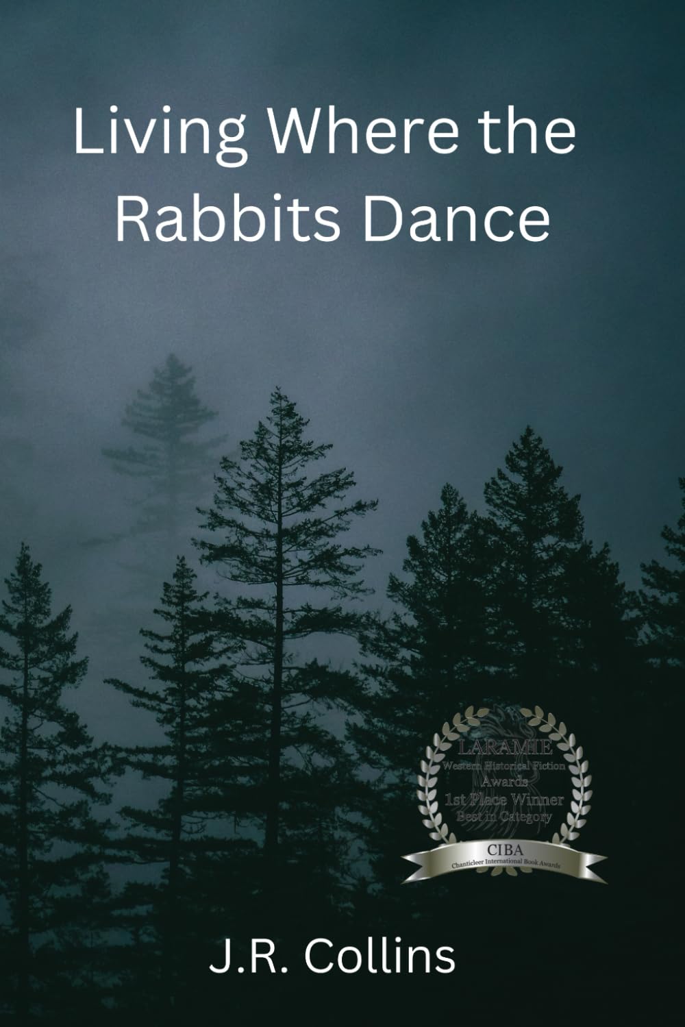 Living Where the Rabbits Dance      Paperback – April 28, 2024