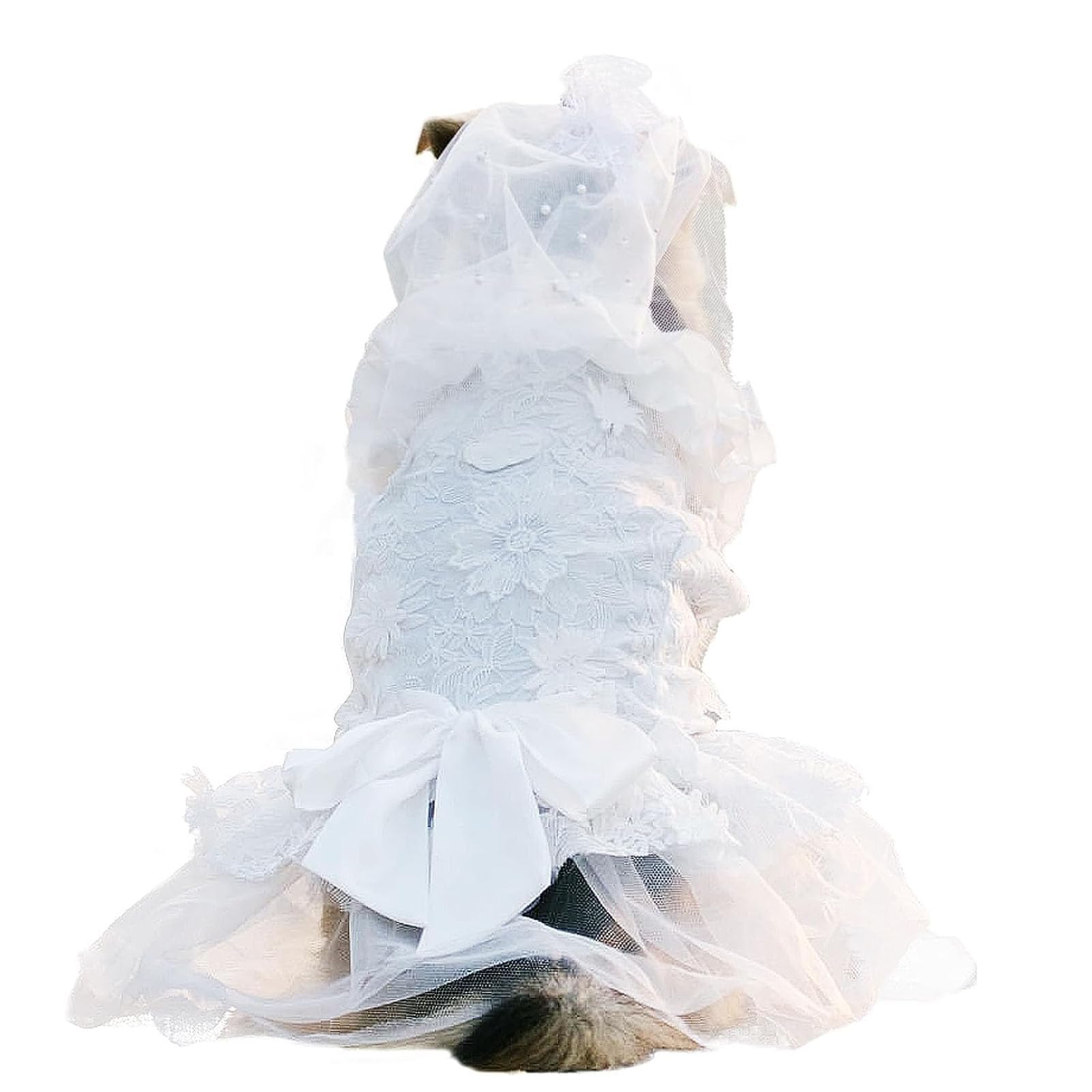Robe de mariée grand chien de luxe jupe élégante pour la Saint-Valentin et fêtes