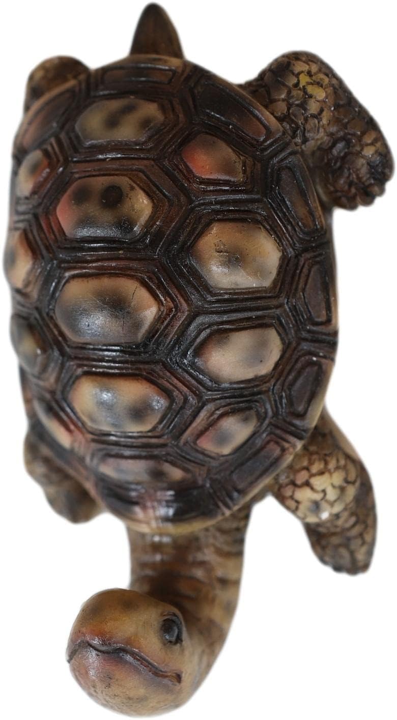 Ebros Gift 5" Tall Nautical Ocean Marine Long Necked Brown Tortoise Rustic Vintage Wall Coat Hook Tortoise Turtles Coastal Beach Sea Land Reptile Decorative Accent Hooks for Keys Leashes Hats (1)