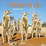  Erdmännchen 2022: Broschürenkalender mit Ferienterminen. Lustige Bilder der witzigen kleinen Tiere. 30 x 30 cm