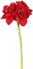 Vickerman 28 Artificial Single Red Velvet Amaryllis Stem, Set of 3