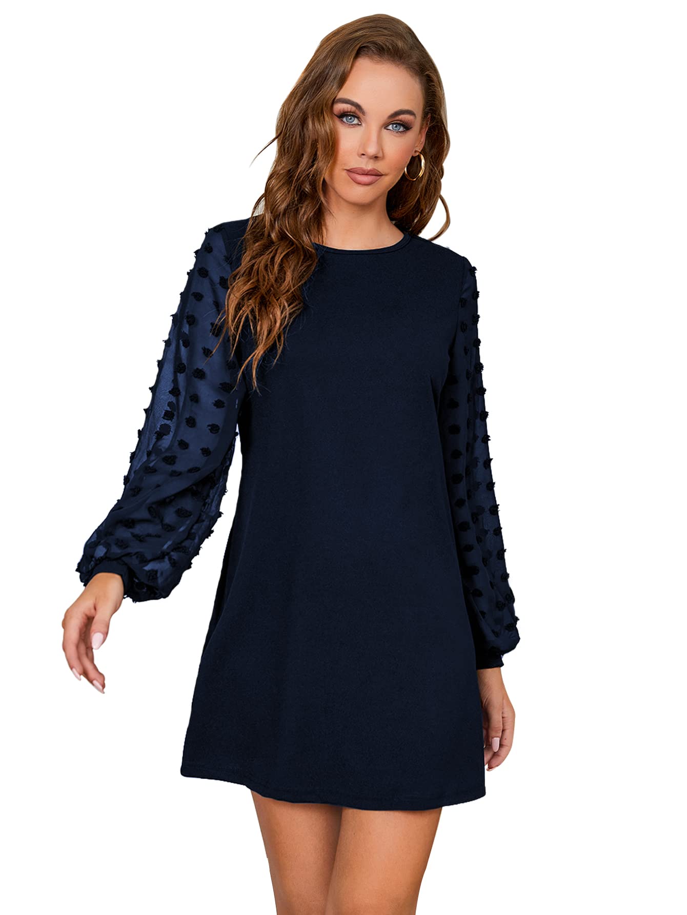 SweatyRocks Women's Elegant Mesh Contrast Long Sleeve A Line Mini Short Dress