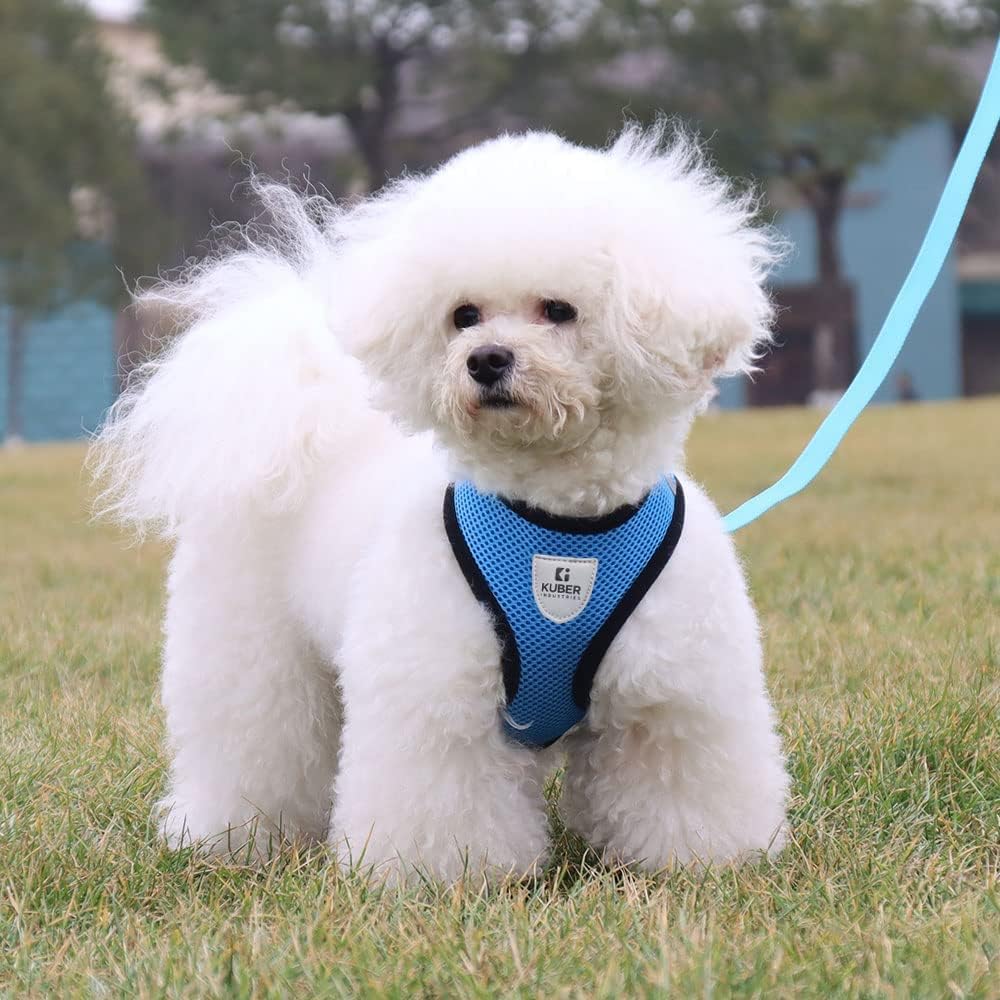 Kuber Industries Dog Harness with Adjustable Leash|Breathable Polyester Mesh|Large Size|Comfortable No-Pull Grip | Quick Release Buckles | Blue Pet Walking Set | Secure and Stylish Dog Harness