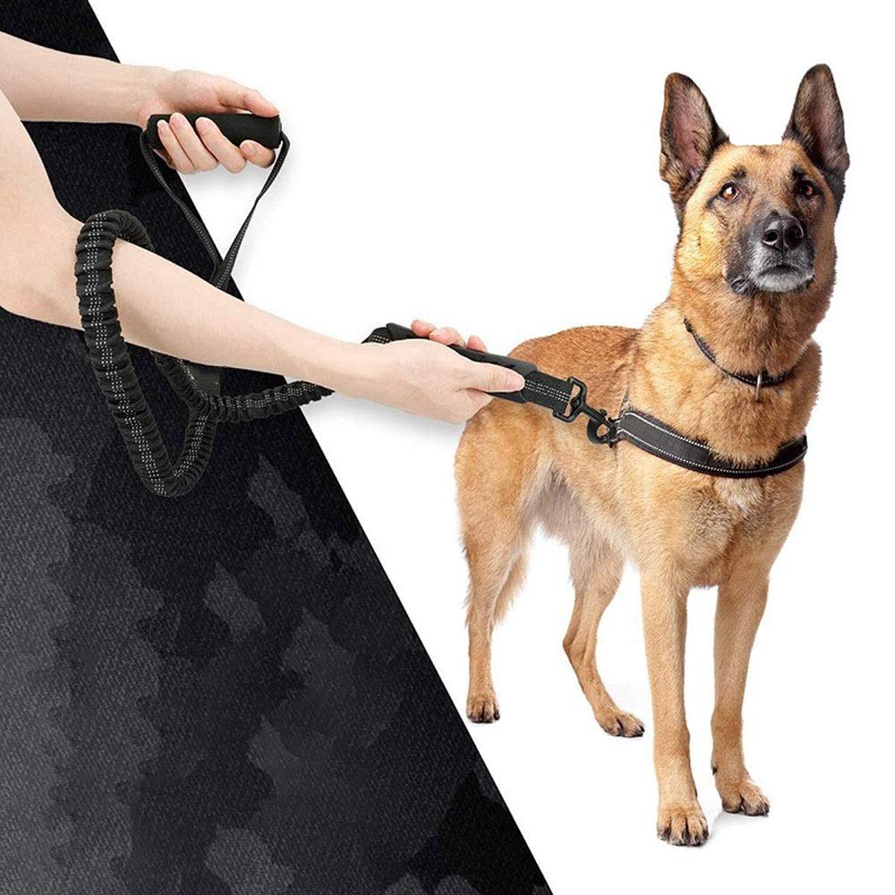 XIANGFAGS Correa Perro Elástica Perro Bungee Correo del Plomo de Alta Resistencia Mango ergonómico Acolchado Correa Reflectante del Animal doméstico for los Perros Formación Mediana Grande