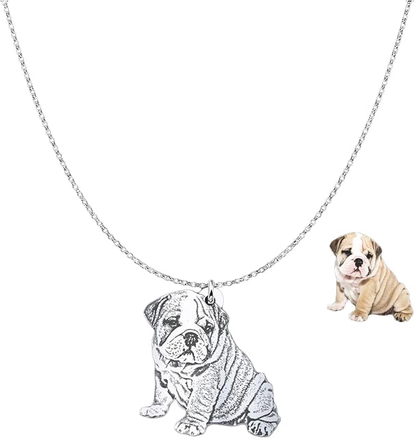 Personalised Necklace 925 Sterling Silver Custom Pet Photo Both Sides Engraved Necklace Prsonalised Dog Necklace Personalised Pet Memorial Gifts (Necklace)