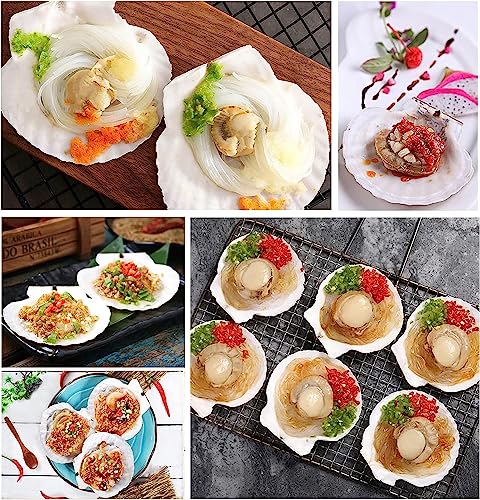 SKOOLOVE 10PCS White Scallops Shells, 10-13CM Natural Large Seashell from Sea Beach - Image 3