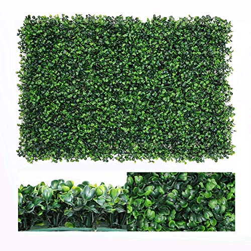 Grüne Wand Raffinierter Blickfang für die Wohnung - bauen.de