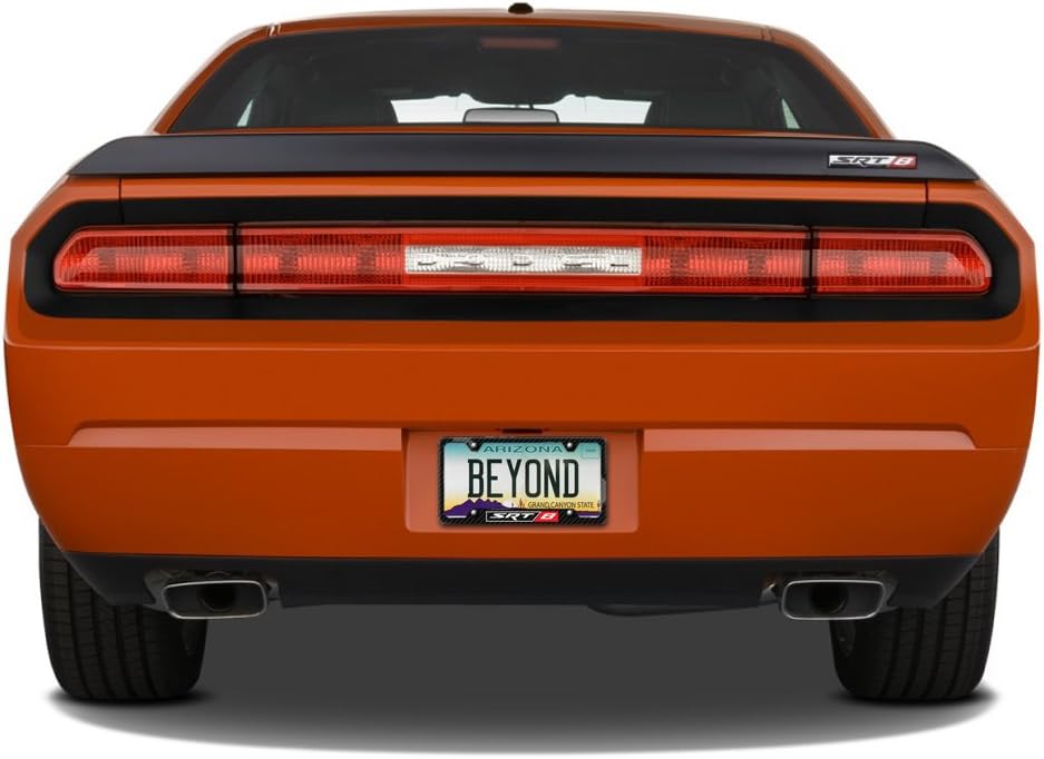 iPick Image Made for SRT-8 Logo Black Real Carbon Fiber 50 States License Plate Frame