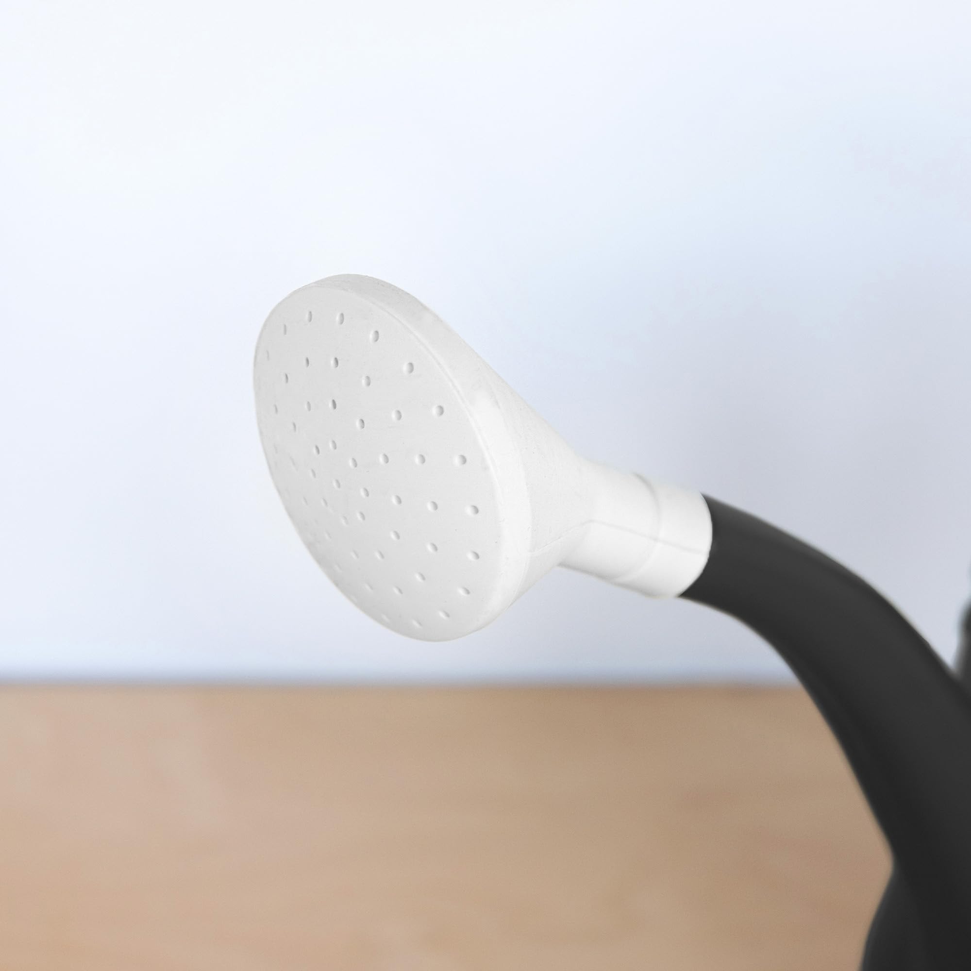 Bloem: Promo Watering Can: 2 Gallon Capacity - Black - Durable Resin, Removable Nozzle Spout, Two Handles, Wide Mouth, Indoor/Outdoor Use, Gardening