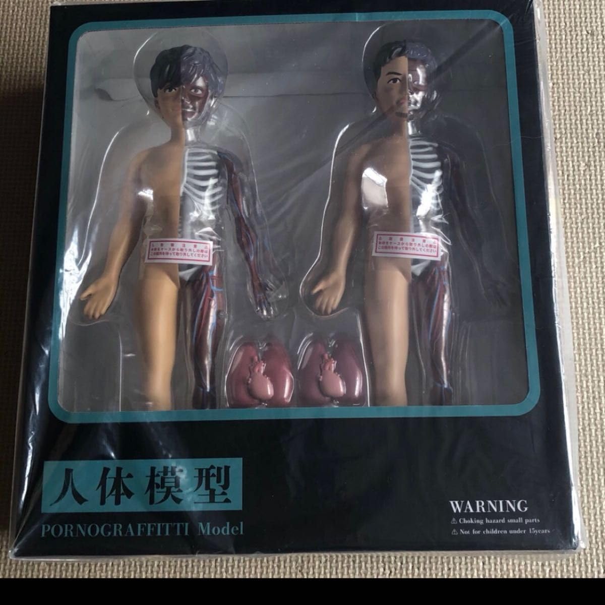 ポルノグラフィティ 人体模型 Amazon.co.jp: ポルノグラフィティ 人体模型 プラモデル 模型 : おもちゃ