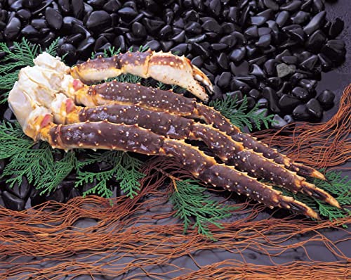 ykC ԑYz݌ɏ 󂠂  ΂ɑ 800 Ⓚ Mp ^oI Ă ɓ VՂ Jj̉l Hׂ\ ݂₰ Ε 蕨 ԗi Mtg l 