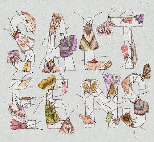Moths -Ep-