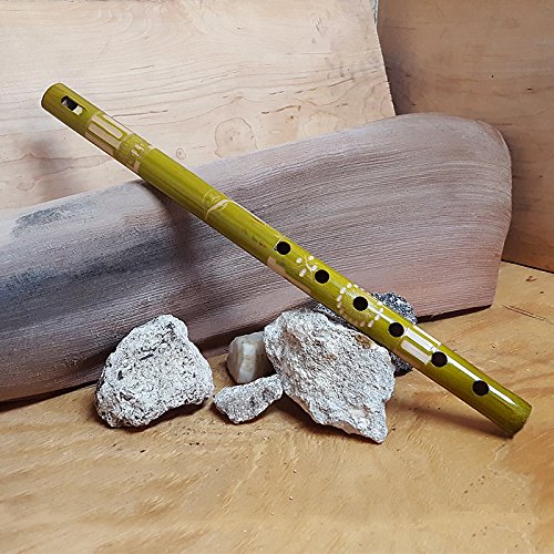 Colored Bamboo Wooden Native Tribal Nature Pattern Flute Woodwind Recorder - Handmade Gifts Ethnic Musical Instruments (Lime)