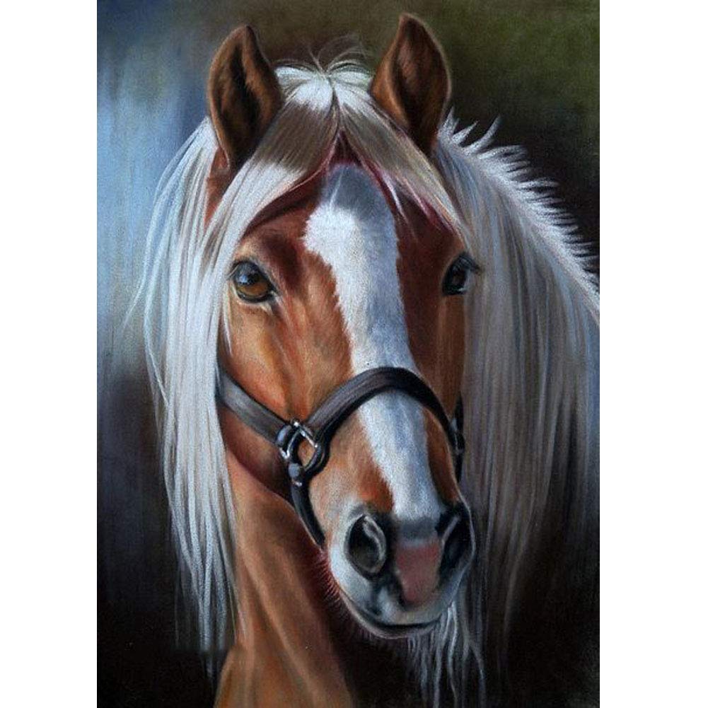 WOWDECOR 5D Diamond Painting Kits, Beautiful Horse Animals Full Drill DIY Diamond Art Cross Stitch Paint by Numbers