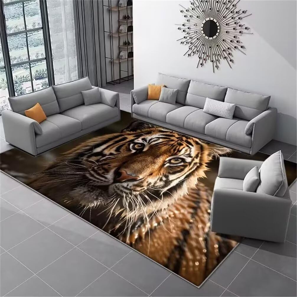 Tapis grande taille salon marron 100x160 et tapis enfant chambre garcon 3D
