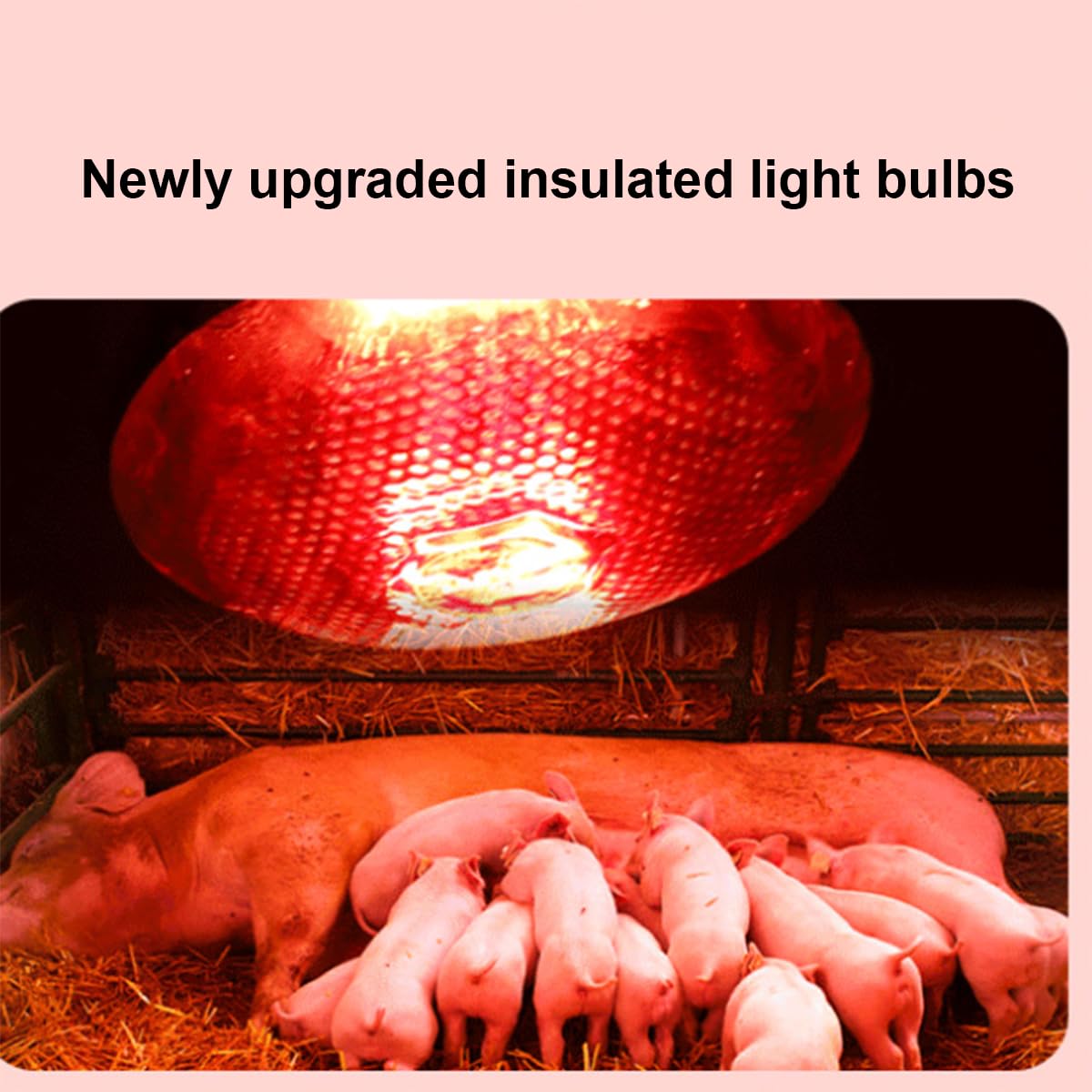 Lámpara de calor para reptiles con protector de bombilla, calefactor para gallineros, luz de calor para criadoras al aire libre, lámpara de calor para mascotas,275W