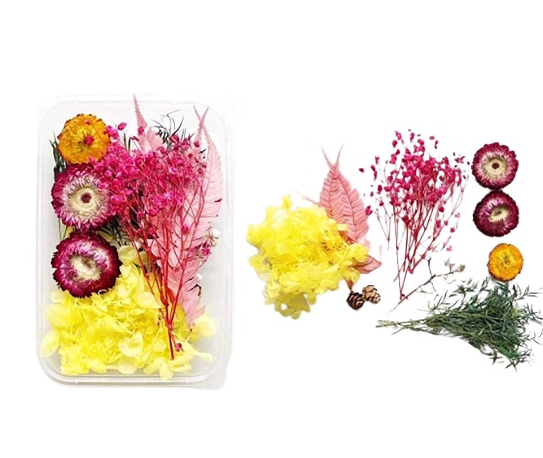 Natural Real Dried Flowers for Art Craft - Mixed & Multicolor for Soap, Artificial Candles, Scrapbooking, DIY, Resin Jewelry, Pendant - Flower 9-image-39