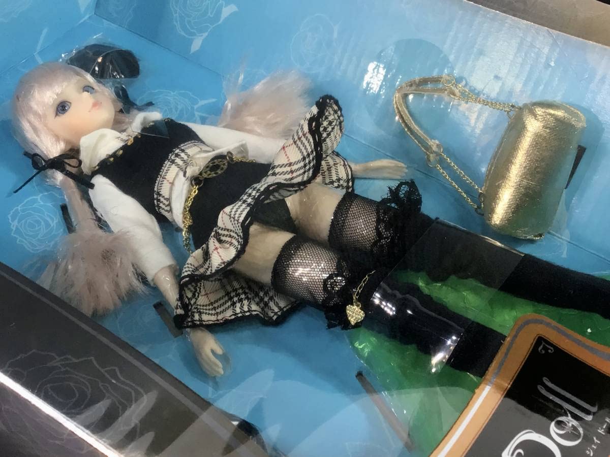 Amazon.co.jp: 株式会社グルーヴ J-Doll ジェイドール シャロンヌ 世界