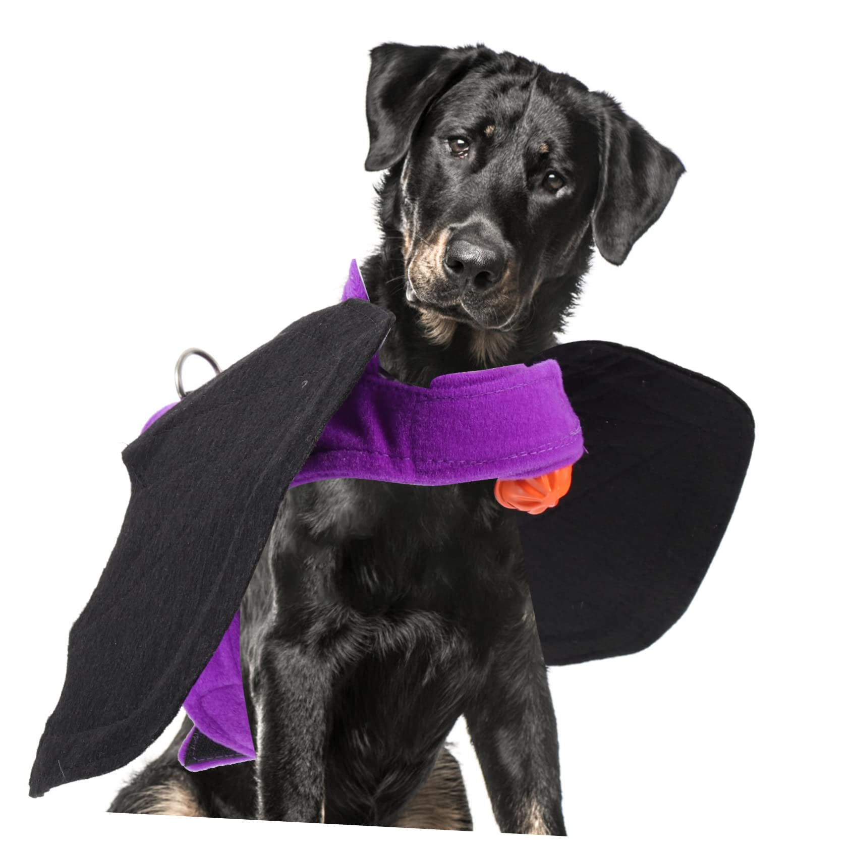 HANABASS 3piezas Disfraz De Halloween para Mascotas Diseño De Murciélago Ropa para Perros y Gatos Vestimenta Divertida para Fiestas y Fotos Campana