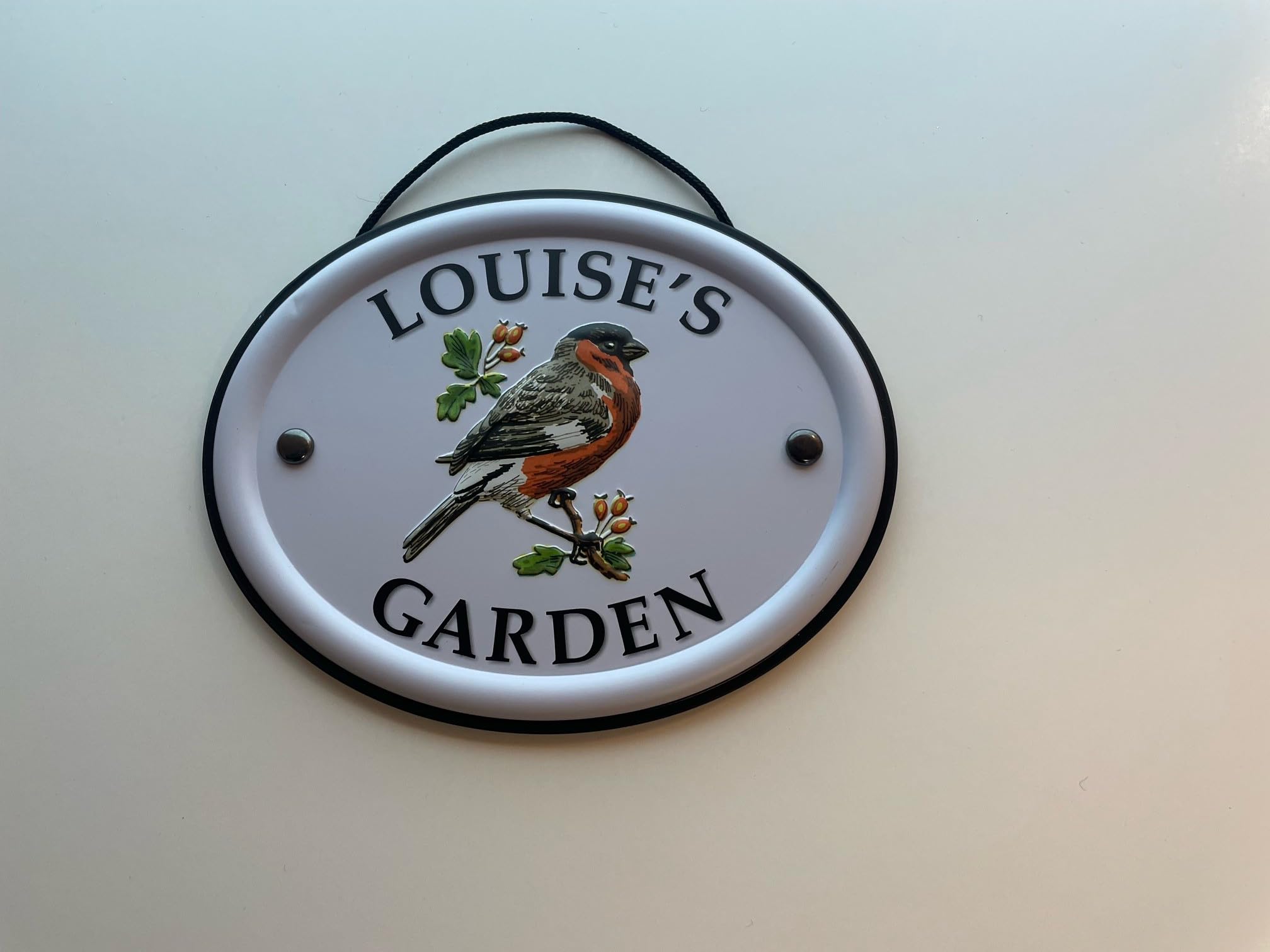 Personalised Embossed Metal Garden Sign 12x15cm – British Bird Design – Outdoor Decorative Hanging Garden Plaque – Weatherproof Metal Sign for Garden Walls Fences or Sheds (Louise) — image 1