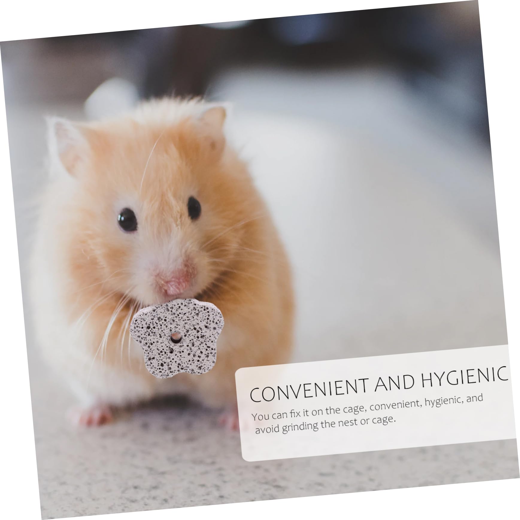 DOITOOL 36stücke Teiliges Calcium-kauspielzeug Für Haustiere Mineralstein Zum Zähneknirschen Für Hamster Kaninchen Und Andere Kleintiere Fördert Gesunde Zähne Und Natürliche