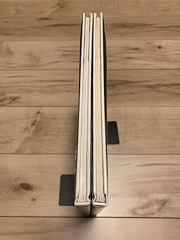 ★Chroniqueslliques/Chaos moebiusメビウス 洋書Chroniques metalliques/Chaos moebius メビウス 画集 大友